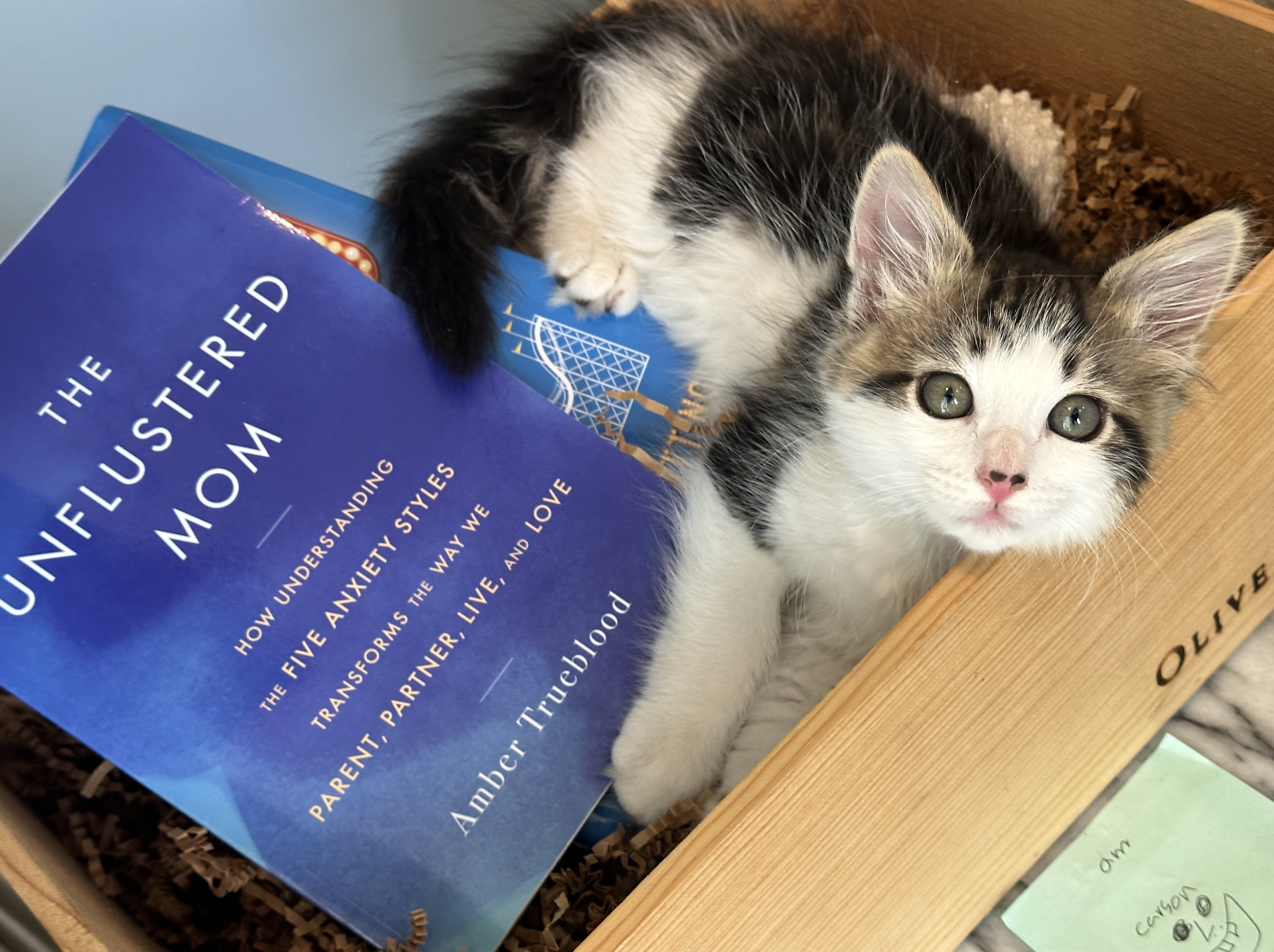 Amber Trueblood Hero Photo 8